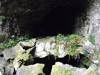otta Intraleo-20100515 036
